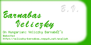 barnabas veliczky business card